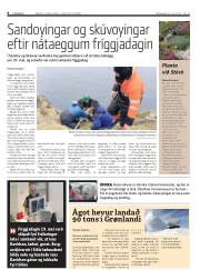 Síða 8