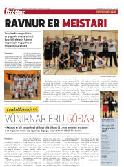 Síða 14