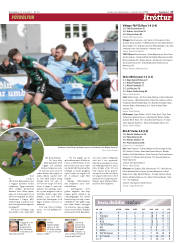 Síða 17