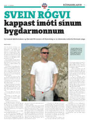 Síða 31