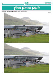 Síða 44