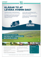Síða 45