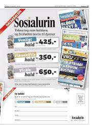 Síða 17