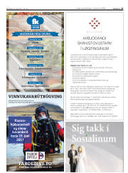 Síða 27