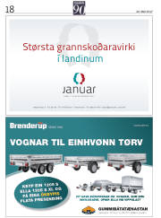 Síða 50