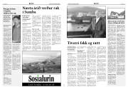 Síða 4