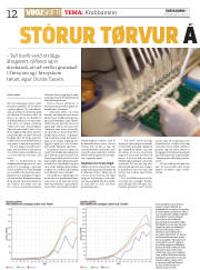 Síða 12