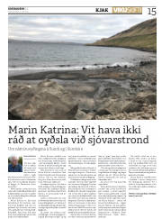 Síða 15