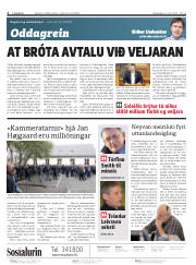 Síða 2