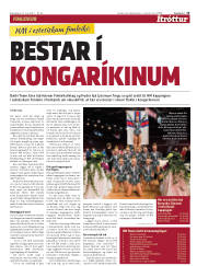 Síða 15