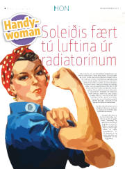 Síða 28