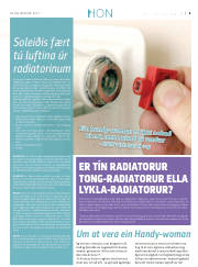 Síða 29