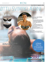 Síða 45