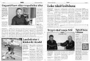 Síða 15