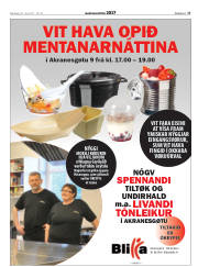 Síða 17