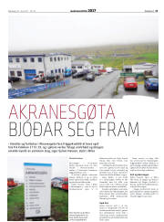 Síða 21