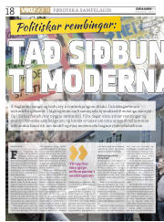 Síða 18