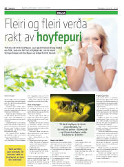 Síða 10