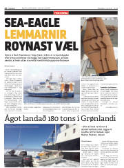 Síða 12