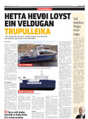Síða 15