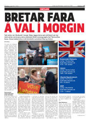 Síða 17