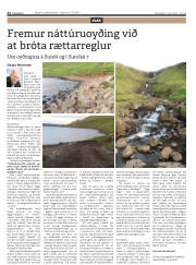Síða 22
