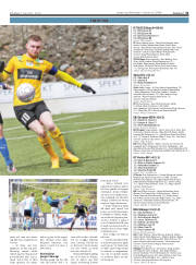 Síða 31