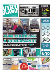 Síða 33