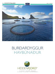 Síða 42