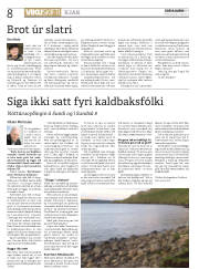 Síða 8