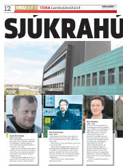 Síða 12