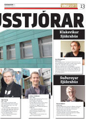 Síða 13