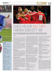 Síða 25