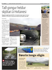 Síða 8