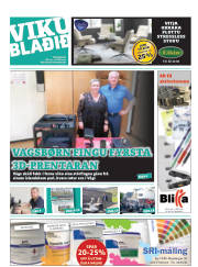 Síða 25