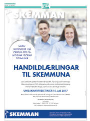 Síða 29