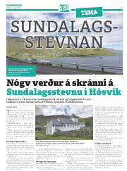 Síða 33