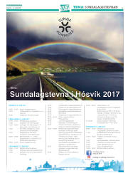 Síða 35