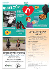 Síða 41