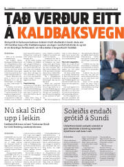 Síða 8