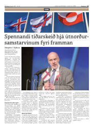 Síða 13