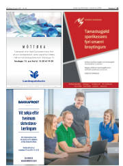 Síða 21
