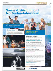 Síða 3