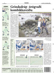 Síða 17