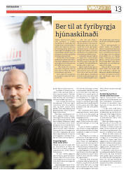 Síða 13