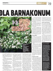 Síða 19