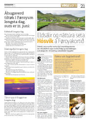 Síða 21