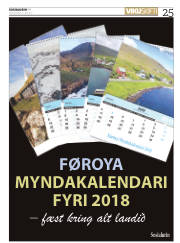 Síða 25