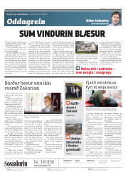 Síða 2