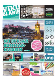 Síða 25